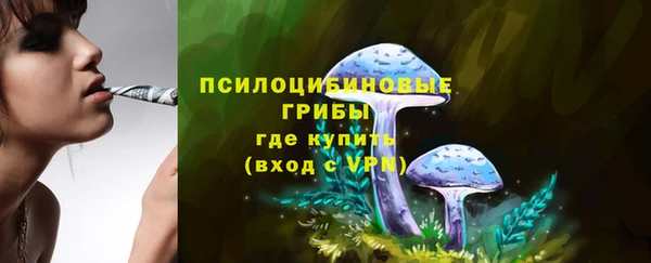 jwh Осинники