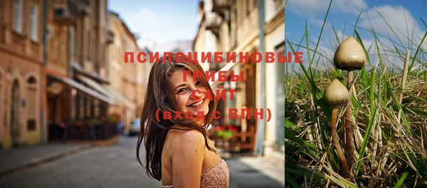 jwh Осинники